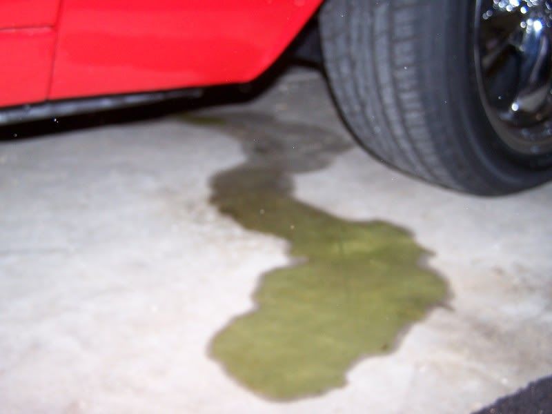 Something is wrong with my garage floor Team Chevelle